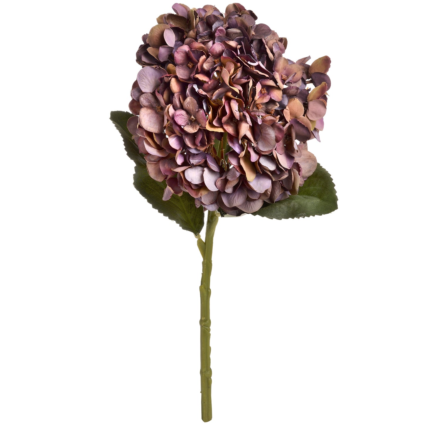 Autumn Coffee Hydrangea Single Stem