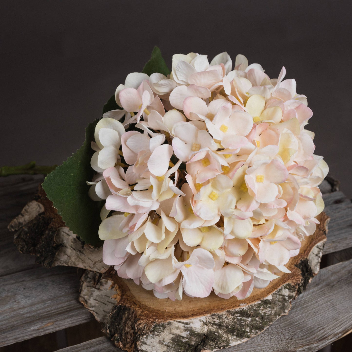 Autumn White and Pink Hydrangea