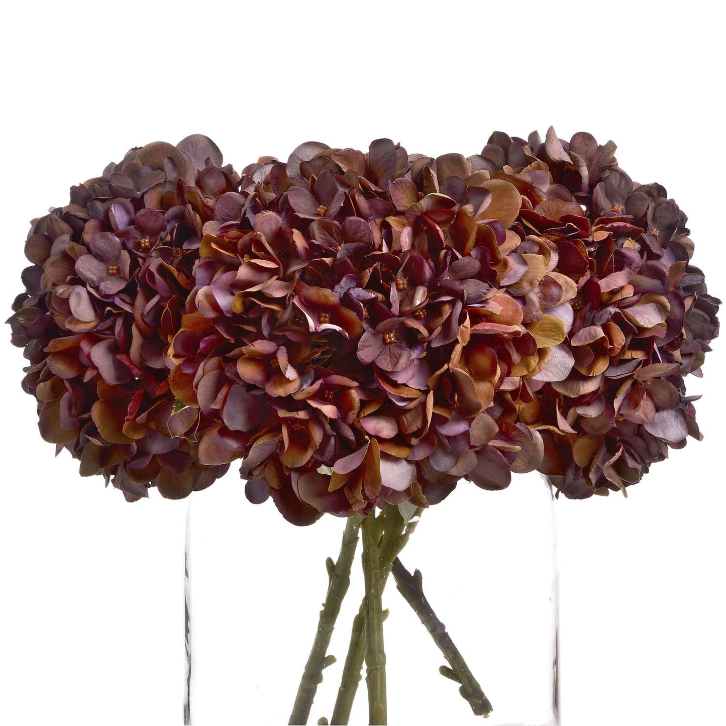 Autumn Coffee Hydrangea Single Stem