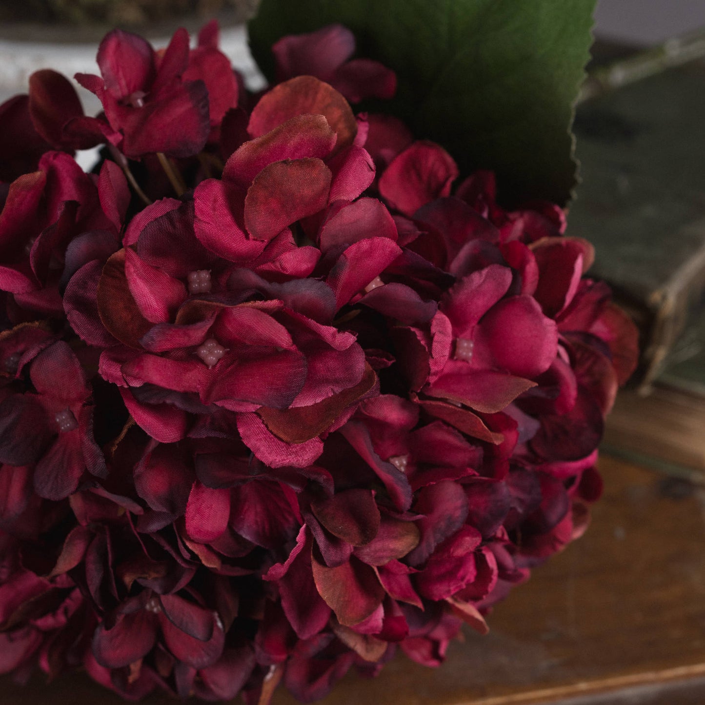 Autumn Ruby Hydrangea Single Stem
