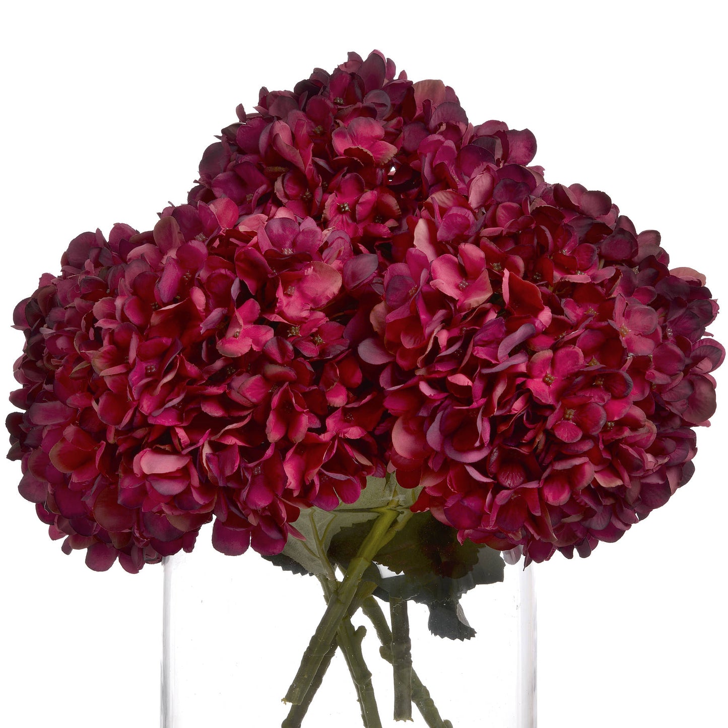 Autumn Ruby Hydrangea Single Stem