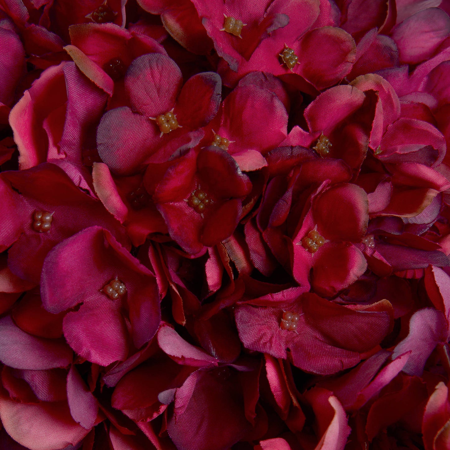 Autumn Ruby Hydrangea Single Stem