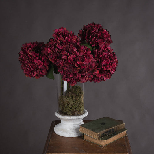 Autumn Ruby Hydrangea Single Stem