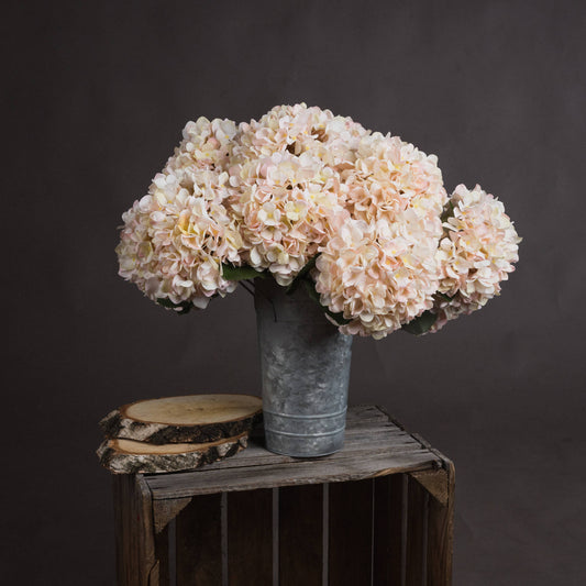 Autumn White and Pink Hydrangea